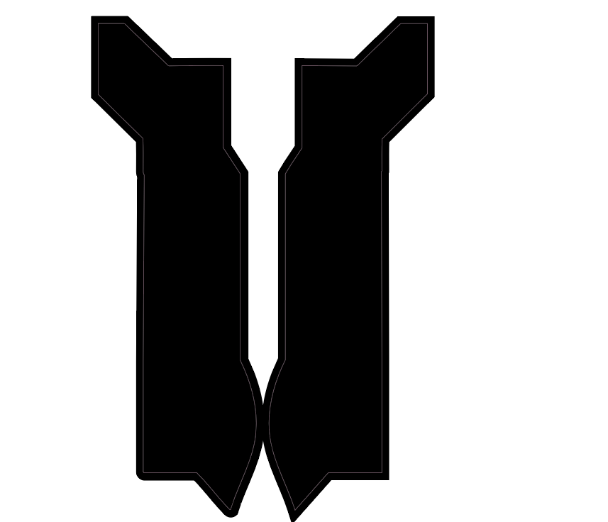 Eride pro fork guards