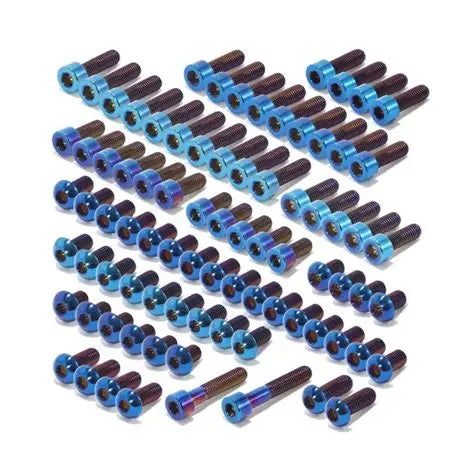 E-ride S/SS/SR titanium bolt kit